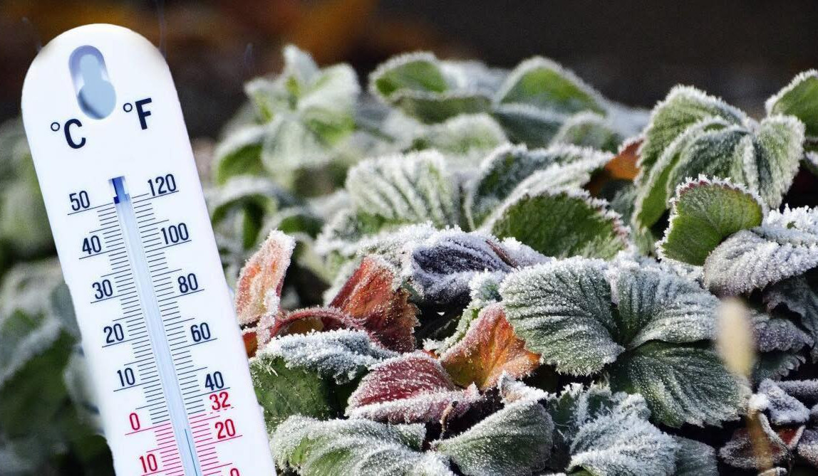 Ապրիլի 15-ի լուսադեմին 2 մարզում և Երևանում օդում հնարավոր է 0-ին մոտ ջերմաստիճան լինի