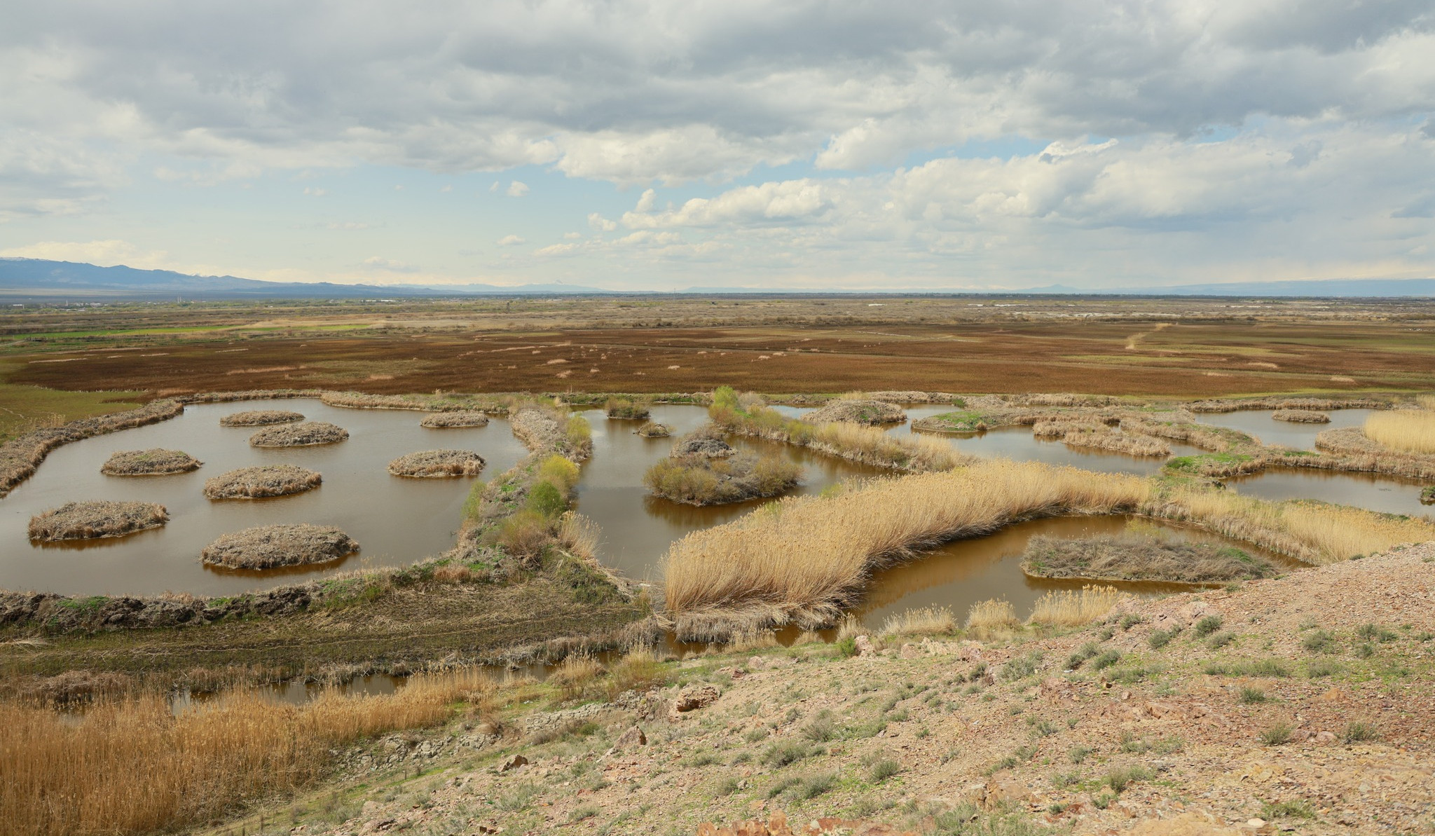 ՇՄ փոխնախարարը շվեդ գործընկերների հետ այցելել է «RESILAND. Հայաստանի դիմակայուն լանդշաֆտներ» ծրագրի տարածք