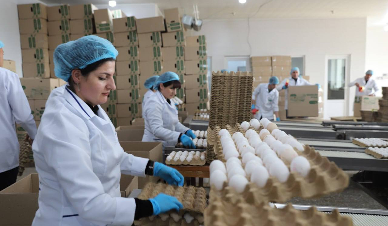250 մլն դոլարի ներդրում՝ նոր աշխատատեղեր և oրական մինչև 100 տոննա թռչնամիս․ նոր ներդրումային ծրագիր Հայաստանում