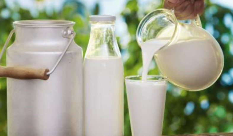 Մթերվող կաթի գինը Կառավարությունը կսուբսիդավորի. Պապոյան