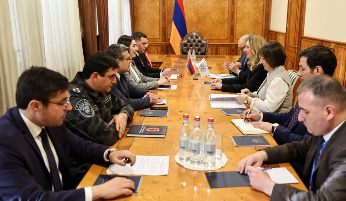 ՆԳ նախարարությունը ՄԱԿ-ի Զարգացման ծրագրի լավագույն գործընկերներից է․ Արփինե Սարգսյանը ընդունել է Իվանա Ժիվկովիչին