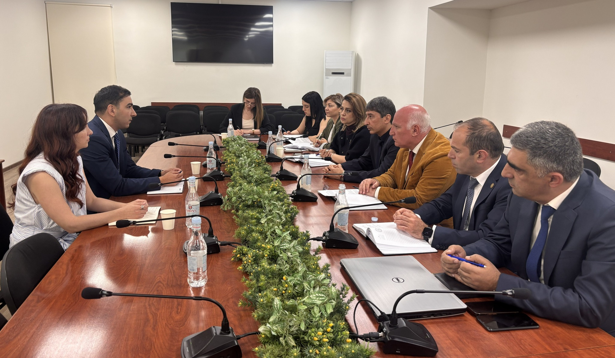 ՀԾԿՀ-ն և շվեյցարական Helvetas-ը քննարկել են էներգետիկ ոլորտում համագործակցության հնարավորությունները