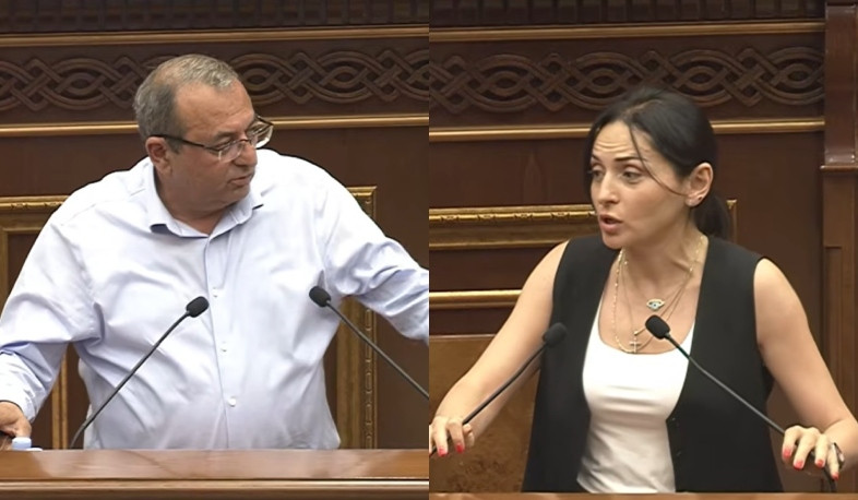 Կոռեկտության սահմանների մեջ Ձեզ պահեք. բանավեճ ԱԺ-ում