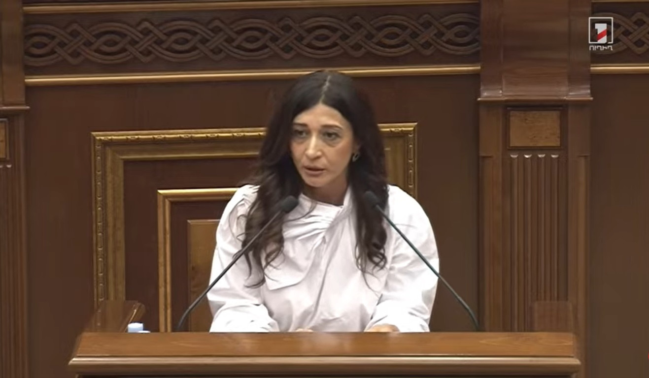 Դուք պատիվ ունեցաք հիմք դնելու ընտրական տուրիզմին, և դրա մասին բազմաթիվ փաստեր կան. Արփի Դավոյանը՝ ընդդիմադիրներին