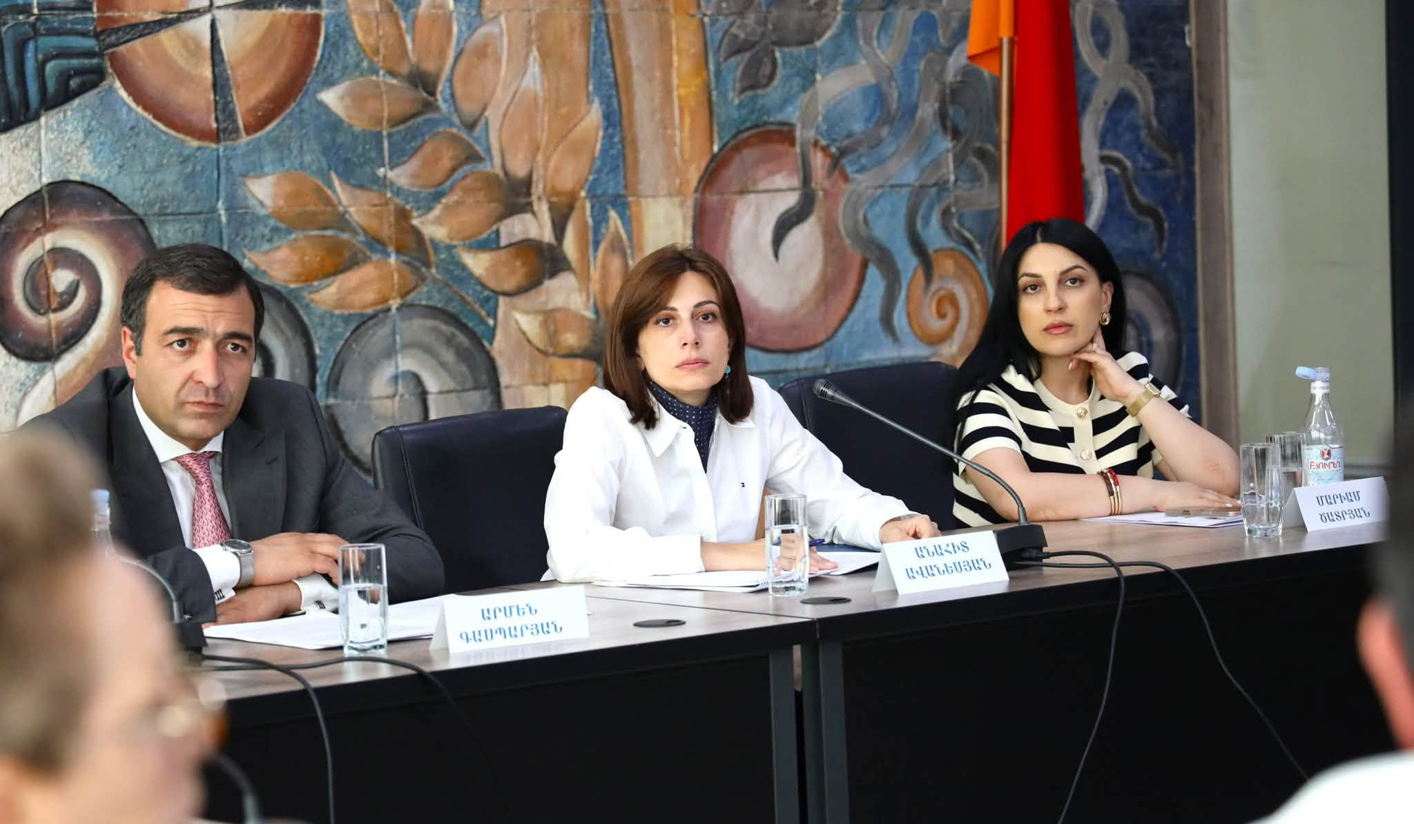 Առողջապահության նախարարին կից հասարակական խորհրդի նիստին քննարկվել են հոգեբուժական օգնության և սպասարկման մասին օրենսդրական բարեփոխումները