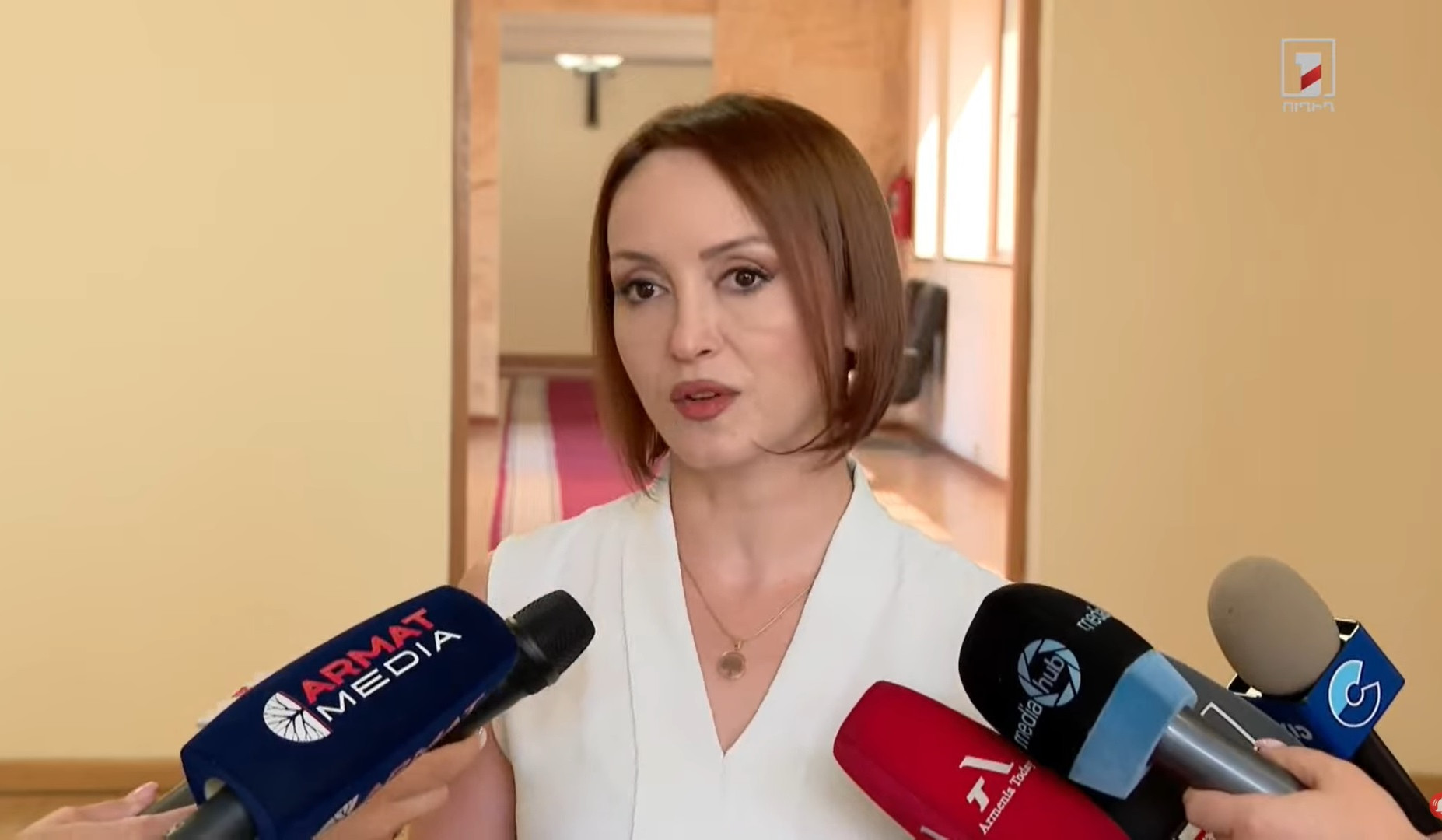 Թեմատիկ քննադատությունը միայն ուրախացնում է. Լուսինե Բադալյանը՝ 9-րդ գումարման ԱԺ ընդդիմության մասին