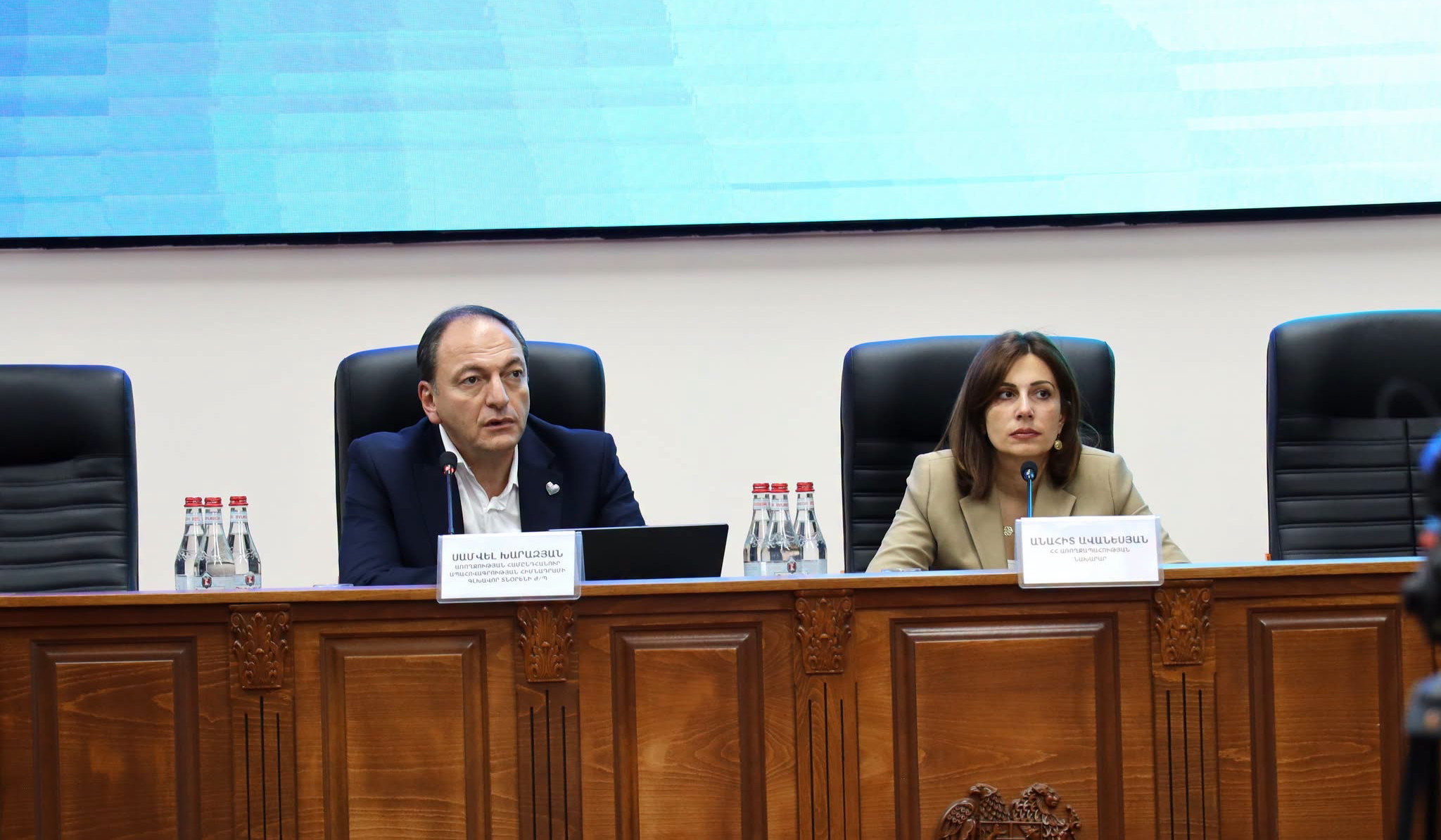 Անահիտ Ավանեսյանը գործատուների հետ քննարկել է 200000 դրամից պակաս աշխատավարձ ստացող աշխատողներին առողջության ապահովագրության համակարգ ընդգրկելու ընթացակարգը