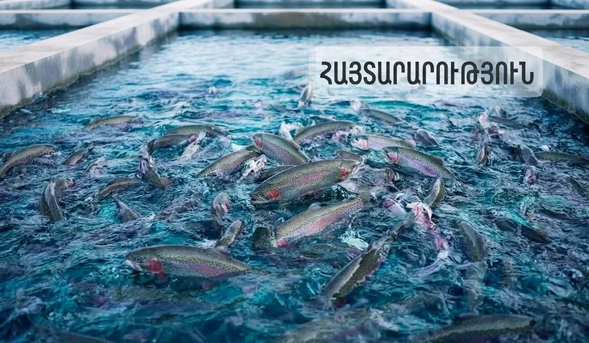 ԱՄԷ են արտահանվել 60 տոննա հայկական ձուկ և ձկնամթերք․ ՍԱՏՄ-ն դիմում է տնտեսվարողներին