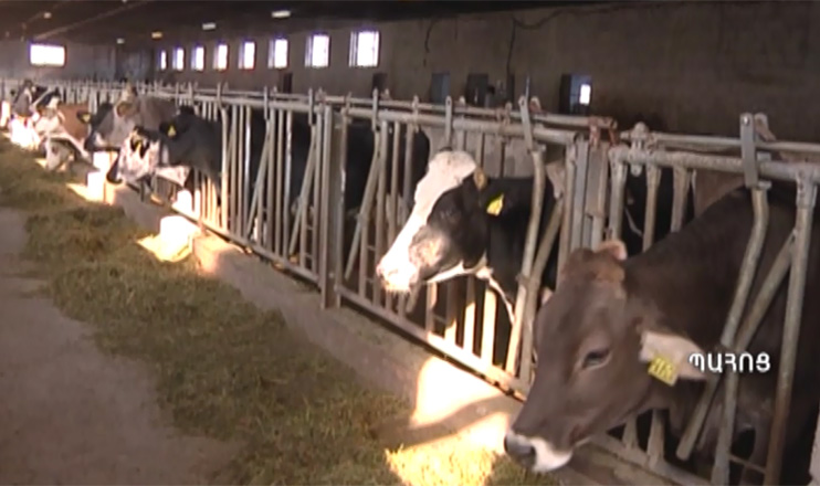 24.01.15 / Ագրոժամ