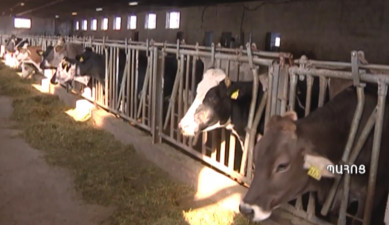 24.01.15 / Ագրոժամ