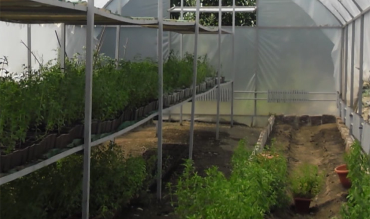 14.02.15 / Ագրոժամ