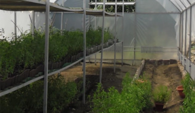 14.02.15 / Ագրոժամ