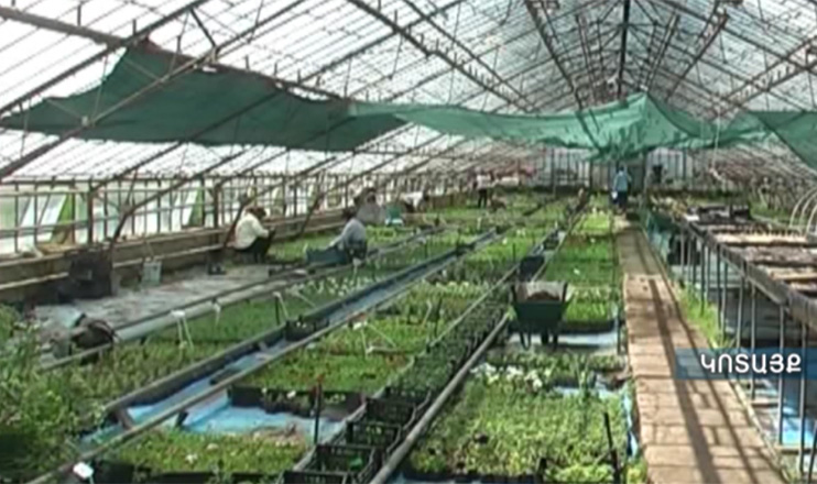 07.03.15 / Ագրոժամ