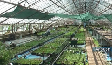 07.03.15 / Ագրոժամ