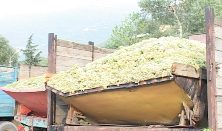 The First on Economics