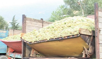 The First on Economics