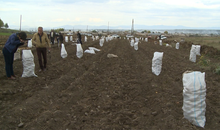 The First on Economics