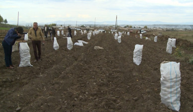 The First on Economics