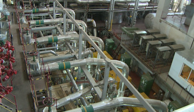 The First on Economics