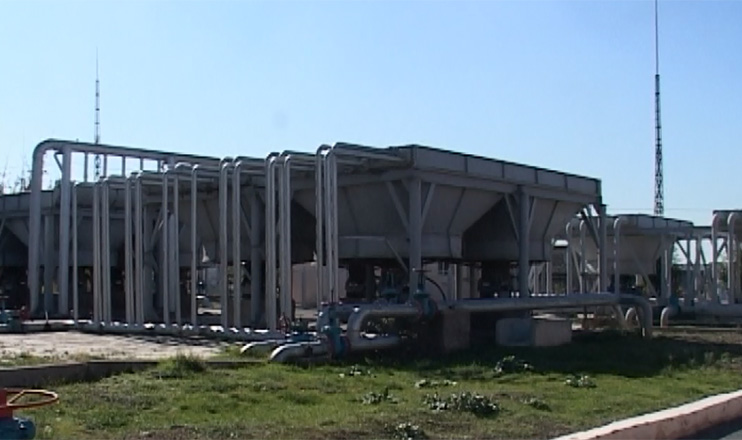 The First on Economics