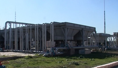 The First on Economics