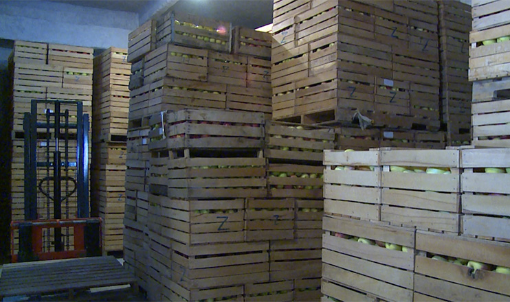 The First on Economics