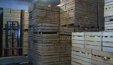 The First on Economics