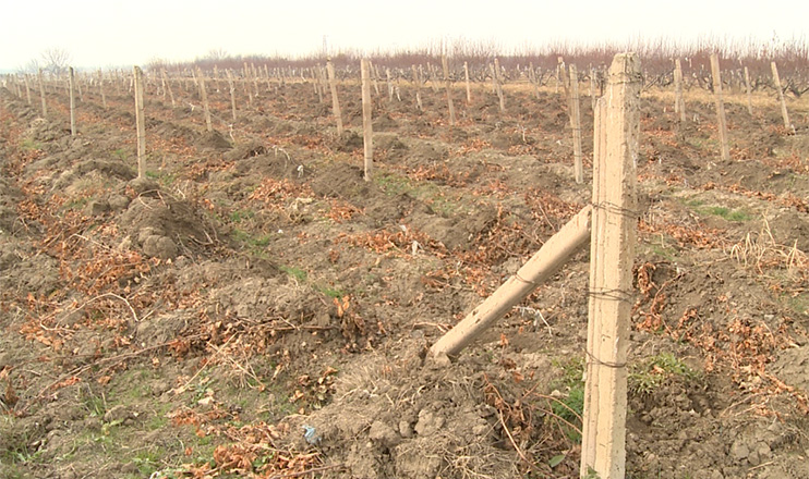 The First on Economics