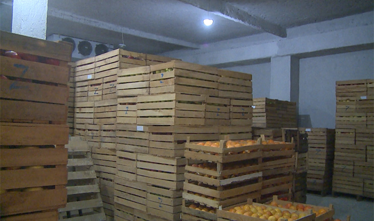 The First on Economics