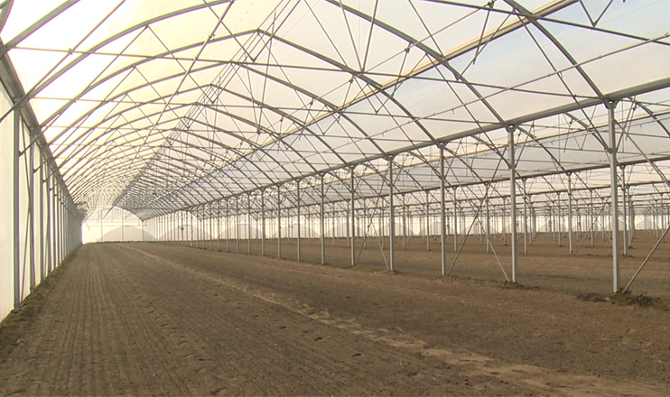 The First on Economics