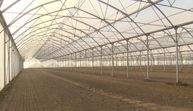 The First on Economics