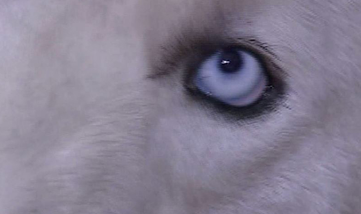 Մայրիկների ակումբ