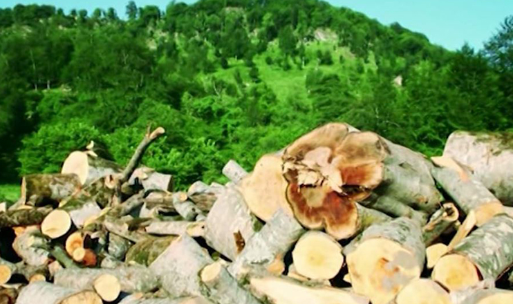 Առաջին տնտեսական