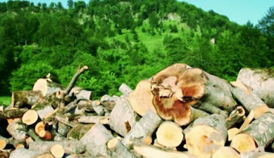 Առաջին տնտեսական