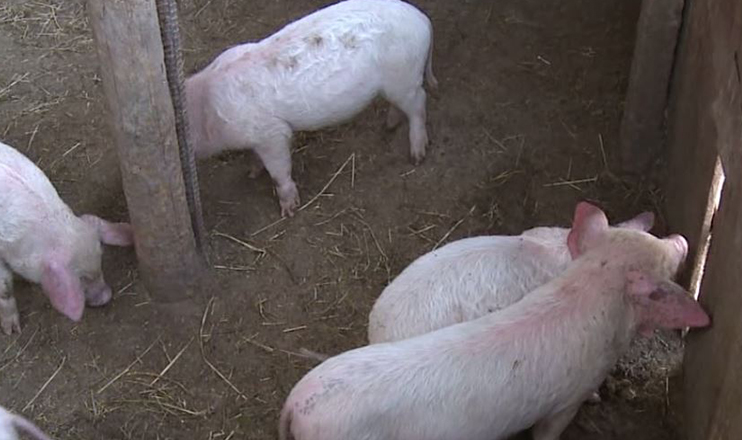 The First on Economics