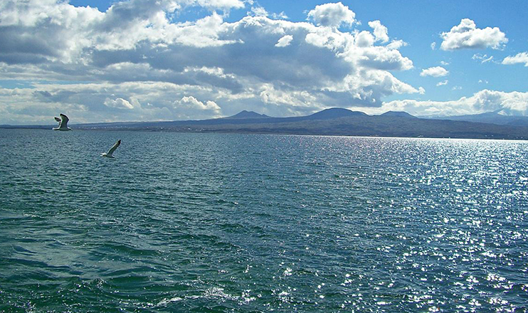 Առաջին տնտեսական