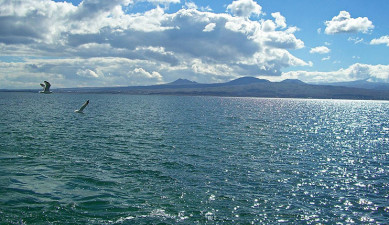 Առաջին տնտեսական