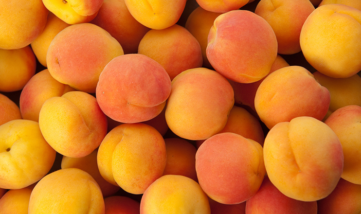 Առաջին տնտեսական