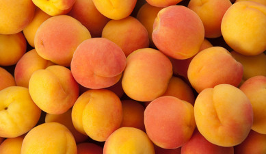 Առաջին տնտեսական