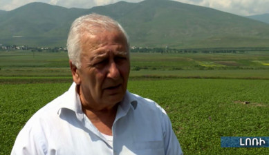 Ագրոժամ