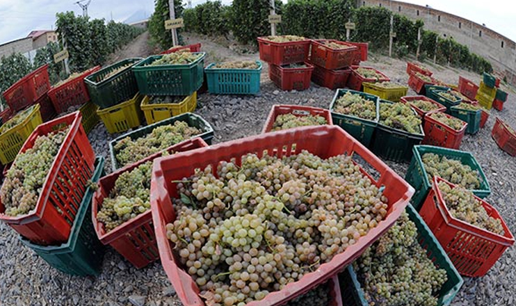 Առաջին տնտեսական