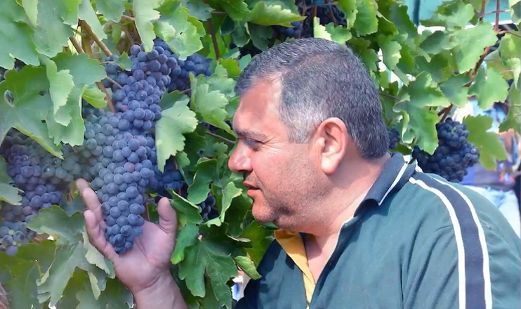 Quotation Marks - Shirak Miqayelyan