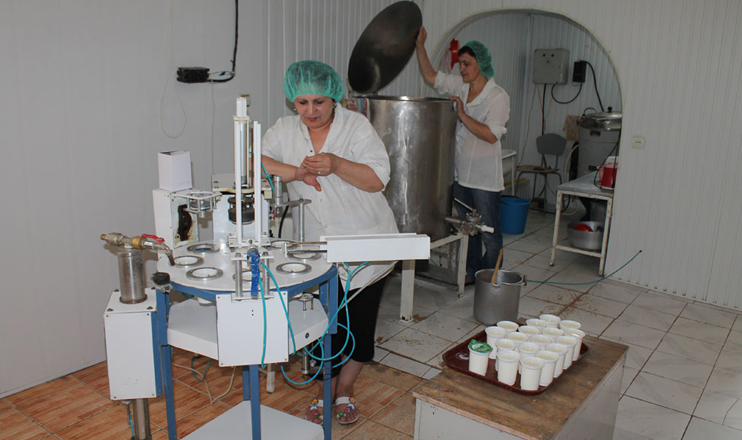 The First on Economics