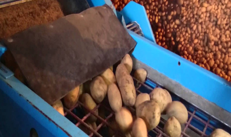 The First on Economics