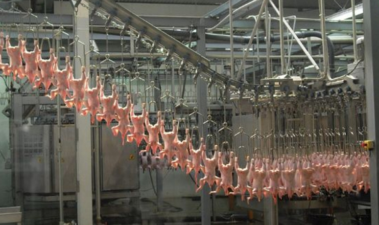 Առաջին տնտեսական