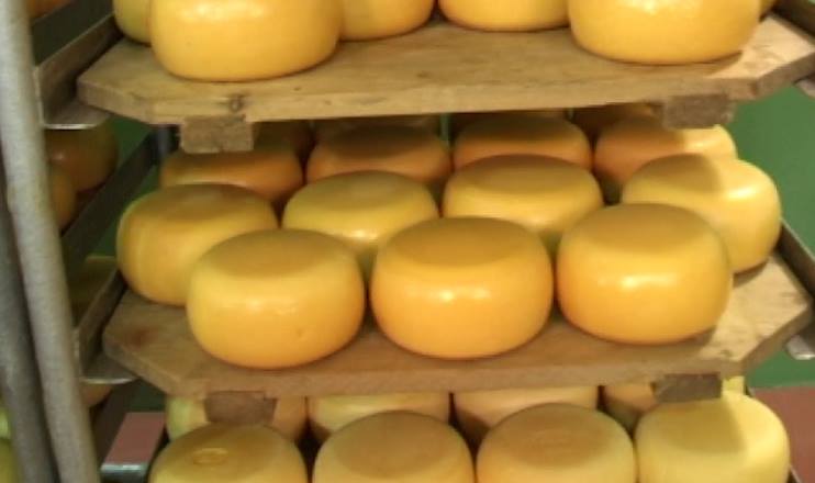 The First on Economics