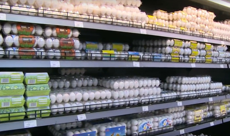 The First on Economics