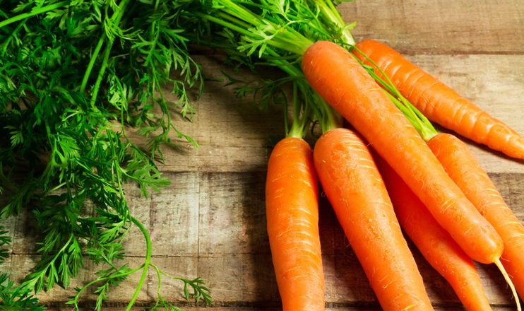 Myths and facts on carrots