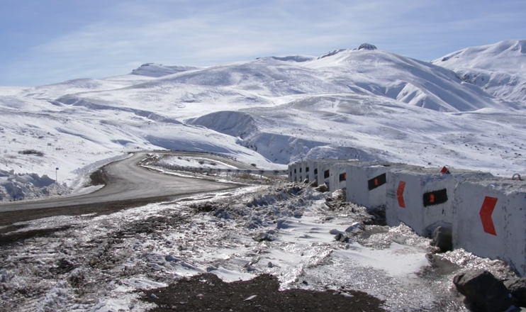 The First on Economics