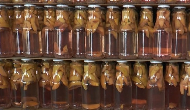 Օրակարգ 17:00